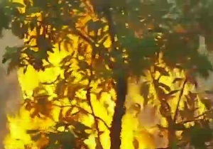 Австралия борется с сильными пожарами - видео