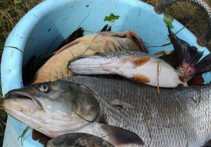 Суд обязал компанию Ахметова вернуть Мариупольский рыбный порт государству