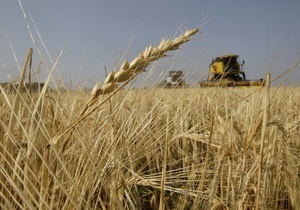Ціни на пшеницю досягли максимуму за чотири роки
