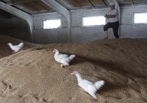 У листопаді Україна продала за рубіж понад два мільйони тонн зерна