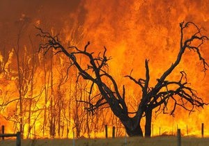Австралия - В Австралии бушуют лесные пожары: уничтожены не меньше 100 домов, есть погибшие