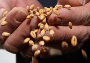 Украинские аграрии возмутились зерновым соглашениям Азарова и Медведева - зерновой пул