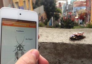 Користувачі iPhone зможуть контролювати мозок тарганів - roboroach