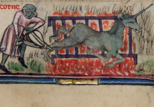 Рецепт єдинорога на грилі. У Британській бібліотеці знайшли загублену куховарську книгу 14 століття