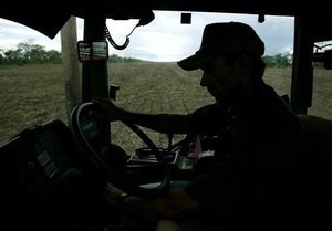 Тривалі дощі загрожують Україні втратою половини врожаю зернових наступного року - Forbes