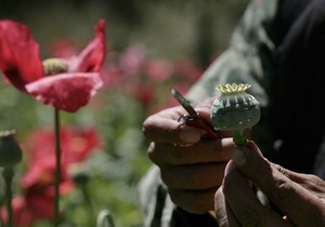 Новини Афганістану - наркотики - Росія, США та Афганістан спільно знищили 24 тонни опіатів