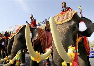 Новини Таїланду - слони - Владі Таїланду погрожують демонстрацією зі слонами