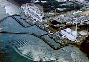 Новости Японии - Фукусима-1: В японские магазины поступила выловленная у Фукусимы рыбы