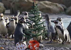 У Детройті з явиться гігантський вольєр для пінгвінів