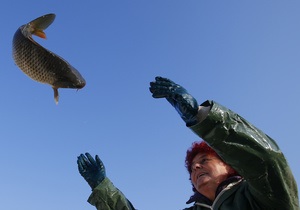 Затоплена в Балтійському морі хімзброя призводить до мутацій фауни - вчені