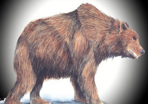 Новости науки - новости генетики: Генетикам удалось восстановить часть генома древнего медведя