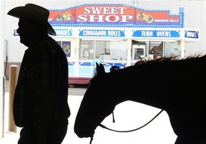 У США поліція затримала нетверезого чоловіка на коні із собакою в рюкзаку