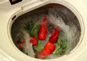 Китайцы используют стиральную машину для мытья овощей и рыбы