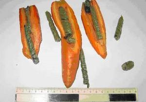 Заключенному в Ровенской области пытались передать морковь, начиненную марихуаной