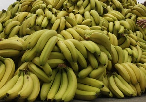 Наркотики - Еквадор - Поліція Еквадору виявила в контейнерах з бананами більше чотирьох тонн кокаїнуВідмінити редагуванняAlphaЦей переклад кращий за початковий?Так, надіслати перекладДякуємо за ваш внесок.Narkotyky - Ekvador - Politsiya Ekvadoru vyya
