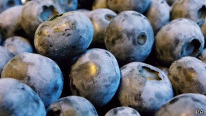 Споживання чорниць запобігає діабету - дослідження