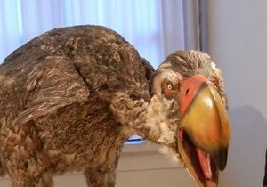 Новини науки - палеонтологія: Гігантські гасторніси виявилися травоїдними