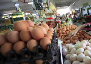 Один з найбільших виробників яєць в Україні в першому півріччі втратив більше 40% прибутку