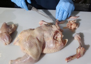 Россия присоединится к казахскому расследованию потенциально опасной украинской курицы