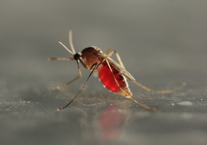 Влада одного з американських штатів запропонувала використовувати безпілотники для стеження за комарами