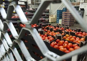 Торговельна війна - ввезення продукції - овочі - Україна - Росія