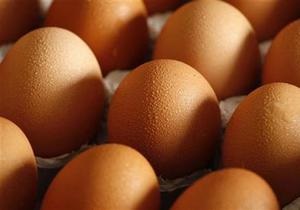 У Франції фермери розбили 100 тисяч яєць на знак протесту