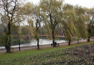 У Києві очистили озеро в парку Відрадний