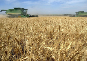Урожайність зернових в Україні в рази нижча європейських показників - Ъ