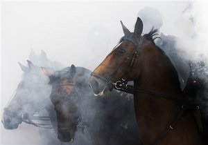 новини Львова - У Львівській області невідомий чоловік розстріляв табун коней