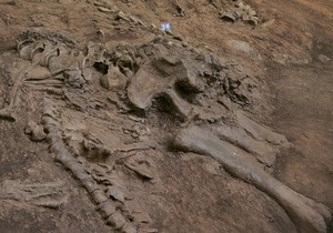 У Мексиці вперше виявили хвіст динозавра