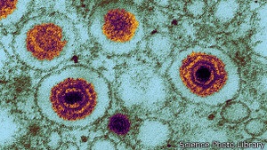 новини науки - новини Франції - Науковці виявили гігантський вірус