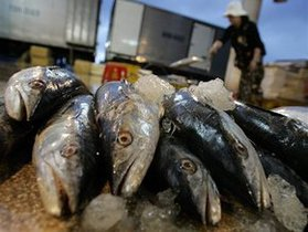 Учені: надмірне вживання червоної риби може викликати рак