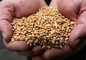 Світове виробництво зерна в 2013-му встановить історичний рекорд - прогноз