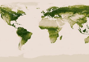Учені склали карту рослинності на Землі