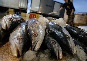 Світові ціни на рибу встановили новий рекорд