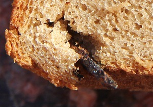 новини Керчі - хліб - хліб із цвяхом - У Керчі молодій парі продали буханку хліба із цвяхом