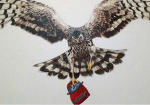 Венеціанська бієнале: представник Британії критикує королівську сім’ю