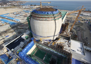 Южная Корея остановила работу двух ядерных реакторов из-за поддельных сертификатов