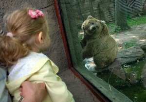 новини Києва - Київський зоопарк - Екологи переживають, що тварини в Київському зоопарку можуть постраждати через відсутність вихідних