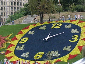 Новини Києва - квітковий годинник - день Києва - До Дня Києва квітковий годинник змінить свій вигляд