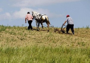 Роль чоловіка - роль жінки в суспільстві - гендерні ролі - Чоловіки в українських сім ях втрачають роль добувачів - дослідження