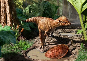 Новини науки - динозаври - У Канаді знайшли найдавнішого  товстолобого  динозавра