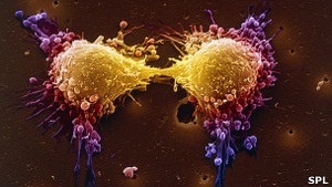 Науковці: рак може згубити Латинську Америку