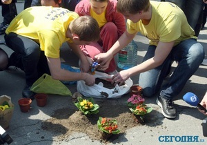 Київ - дороги - ями - акція - активісти - квіти