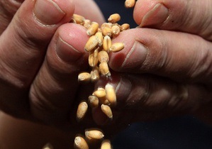 Зерно - експорт зерна - запаси зерна в Україні впали майже на 40% на тлі рекордних показників його експорту