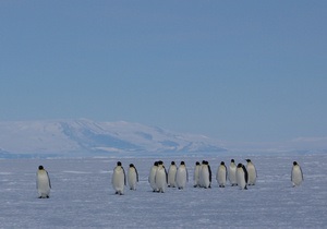 Антарктика - туризм - освоєння