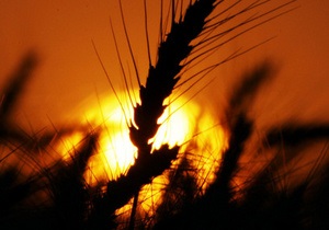 Аграрный гигант украинского миллиардера планирует поставлять пшеницу на Кубу