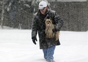Прогноз погоди: в Україні очікуються сильні снігопади