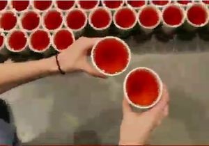 Канадський художник створив найбільшу у світі мозаїку з води