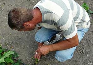 DW: Український агробізнес. Бракує кваліфікованих агрономів